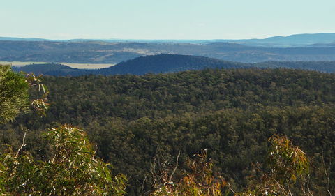 Conimbla National Park - Accommodation Gladstone 1