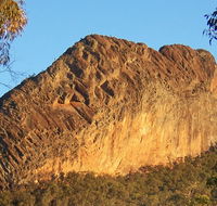 Kaputar scenic drive - Accommodation Gladstone