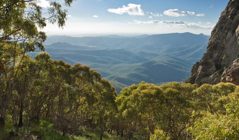 Kaputar Scenic Drive - Accommodation Gladstone 1