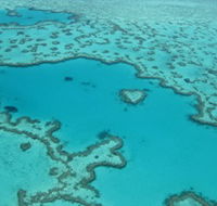 Heart Reef - Accommodation Gladstone
