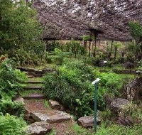 Burrendong Botanic Garden and Arboretum - Accommodation Gladstone