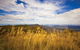 Mount Kaputar Summit Walk - thumb 1