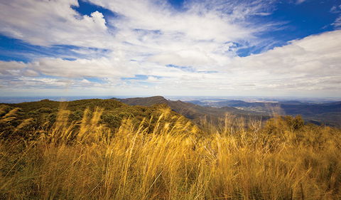 Mount Kaputar Summit Walk - Accommodation Gladstone 1