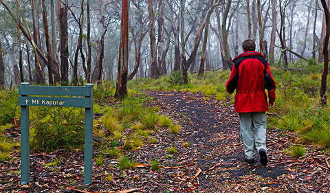 Mount Kaputar Summit Walk - Accommodation Gladstone 2