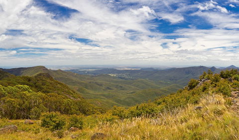 Mount Kaputar Summit Walk - Accommodation Gladstone 3