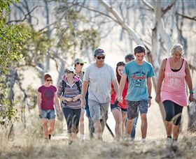Winton Wetlands Reserve - Accommodation Gladstone 0