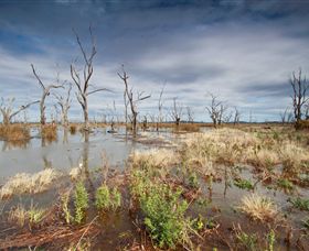 Winton Wetlands Reserve - Accommodation Gladstone 4