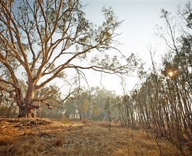 Winton Wetlands Reserve - Accommodation Gladstone 2