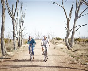 Winton Wetlands Reserve - Accommodation Gladstone 6