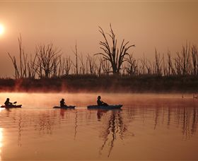 Winton Wetlands Reserve - Accommodation Gladstone 7