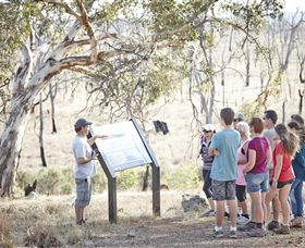 Winton Wetlands Reserve - Accommodation Gladstone 5
