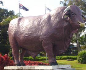 Rockhampton Bull Statues - Accommodation Gladstone 0