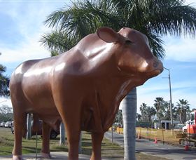 Rockhampton Bull Statues - Accommodation Gladstone 3