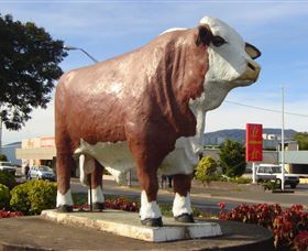 Rockhampton Bull Statues - Accommodation Gladstone 2
