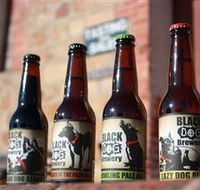 Black Dog Brewery - Accommodation Gladstone