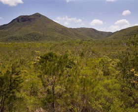 Kutini-Payamu (Iron Range) National Park (CYPAL) - Accommodation Gladstone 0