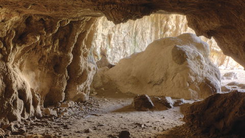 Borenore Karst Conservation Reserve - Accommodation Gladstone 1