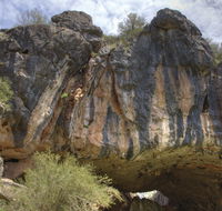Borenore Karst Conservation Reserve - Accommodation Gladstone