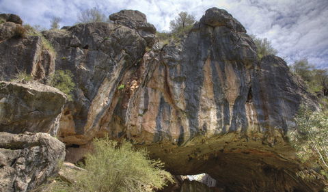 Borenore Karst Conservation Reserve - Accommodation Gladstone 0