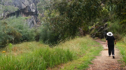 Borenore Karst Conservation Reserve - Accommodation Gladstone 3