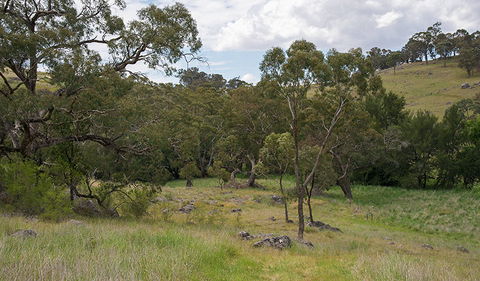Verandah Cave - Accommodation Gladstone 1