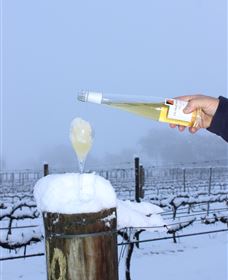 Orange Mountain Wines - Accommodation Gladstone 1