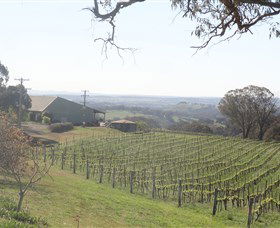 Cargo Road Wines - Accommodation Gladstone 1