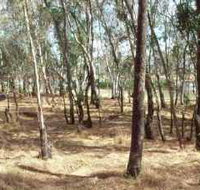 Chiltern-Mt Pilot National Park - Accommodation Gladstone