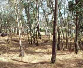Chiltern-Mt Pilot National Park - Accommodation Gladstone 0