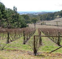 Habitat Vineyard - Accommodation Gladstone