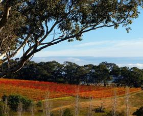Bloodwood Estate - Accommodation Gladstone 0