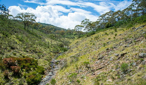 Hopetoun Falls Walking Track - Accommodation Gladstone 3