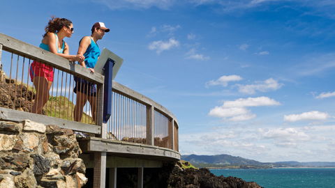 Mount Canobolas State Conservation Area - Accommodation Gladstone 0