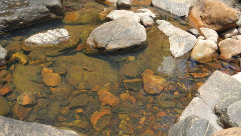 Mount Canobolas State Conservation Area - Accommodation Gladstone 2