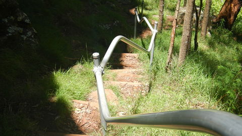 Mount Canobolas State Conservation Area - Accommodation Gladstone 1