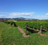 Hedberg Hill Wines - Accommodation Gladstone