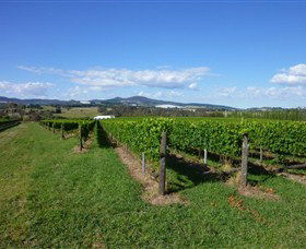 Hedberg Hill Wines - Accommodation Gladstone 0