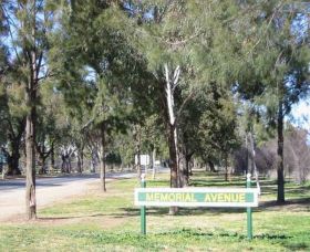 Memorial Avenue In Cowra - Accommodation Gladstone 1