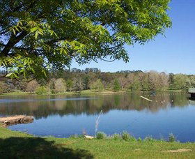 Lake Canobolas Reserve - Accommodation Gladstone 0