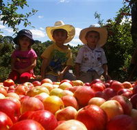 Bonny Glen Fruits - Accommodation Gladstone