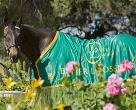 Living Legends: The International Home Of Rest For Champion Horses - Accommodation Gladstone 0