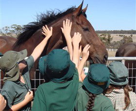 Living Legends: The International Home Of Rest For Champion Horses - Accommodation Gladstone 4