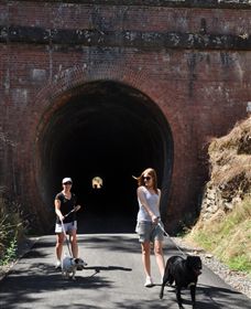 Cheviot Tunnel - Accommodation Gladstone 0
