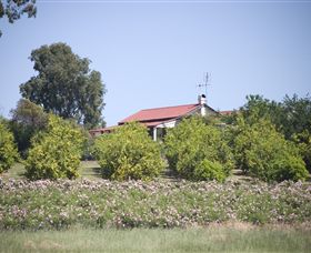 Samaria Farm - Accommodation Gladstone 0