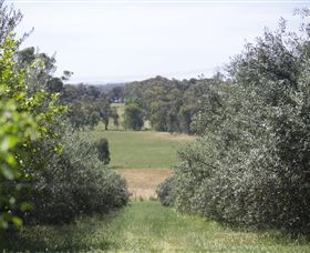 Samaria Farm - Accommodation Gladstone 7