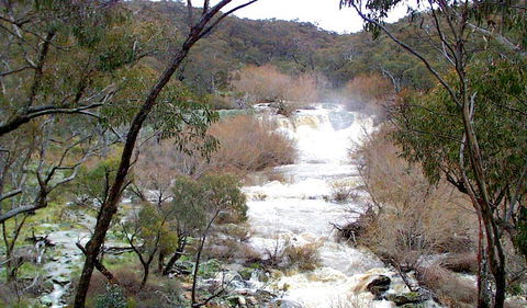 Mullion Range State Conservation Area - Accommodation Gladstone 0