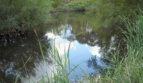 Mullion Range State Conservation Area - Accommodation Gladstone 2