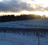 Charles Sturt University Winery - Accommodation Gladstone