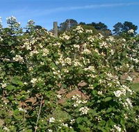 Huntley Berry Farm - Accommodation Gladstone
