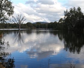 Wonga Wetlands - Accommodation Gladstone 1